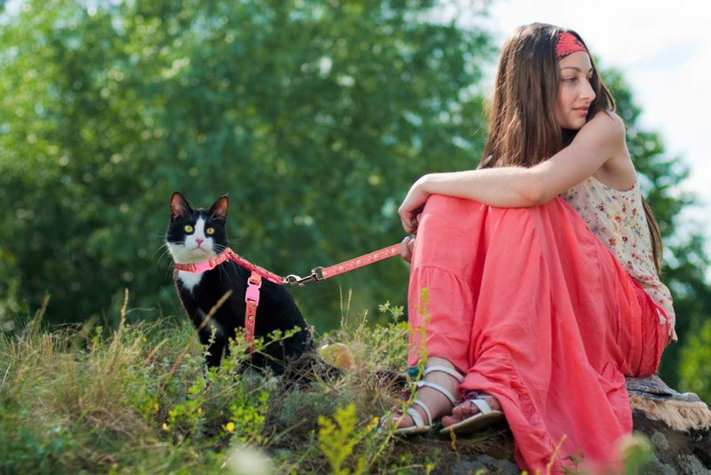 Baeuppit Cat Harness and Leash Set Gold Moons Stars Soft Nylon Escape Proof Adjustable for Kittens Small Animals Glow in The Dark (Pink) - Image 5